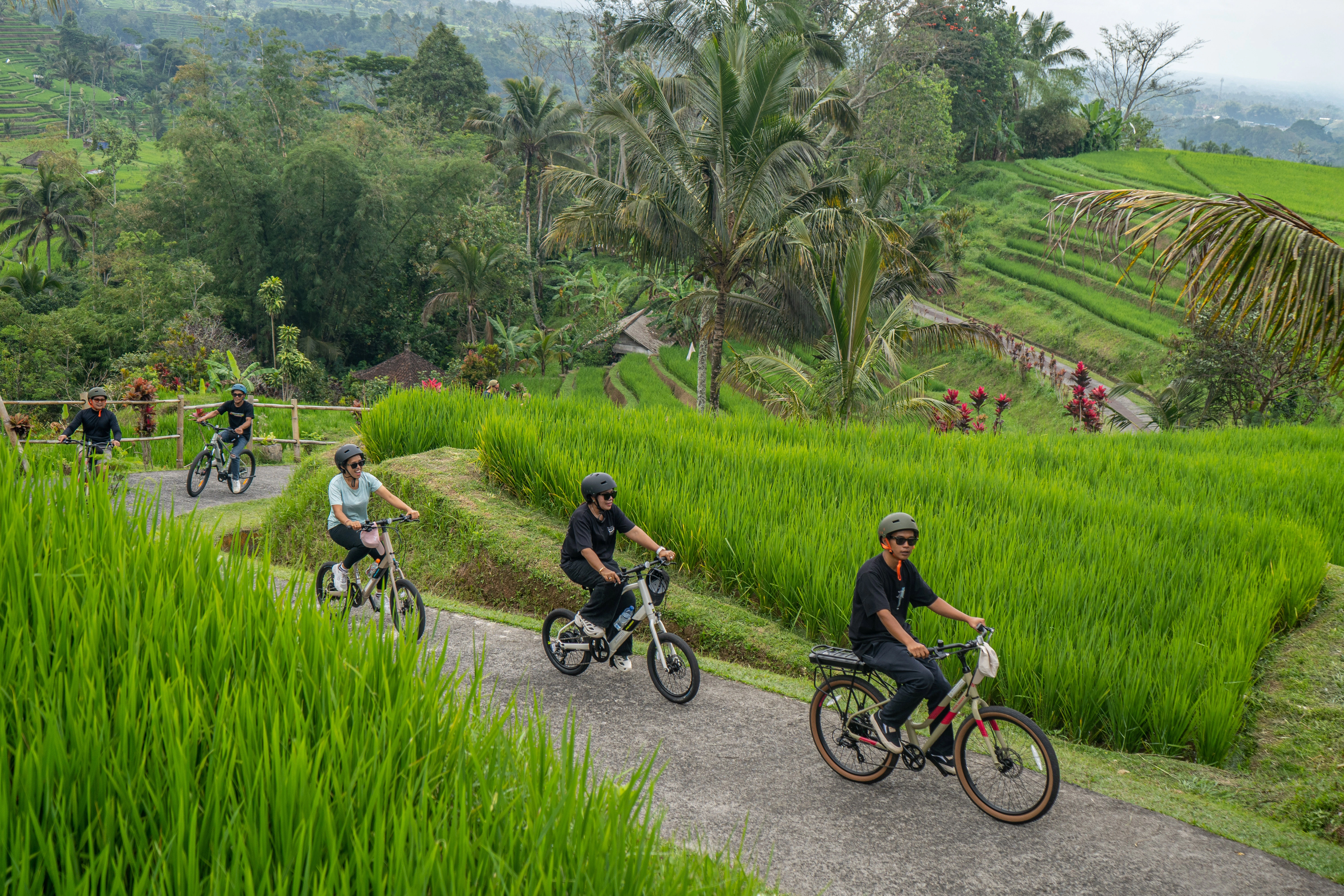 Cycling Jatiluwih